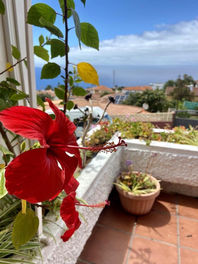 Guanche Bay Apartamento Santa Cruz de Tenerife Exterior foto